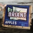 画像6: Vintage Wooden Fruits Crate Box BRIANT (T546) (6)