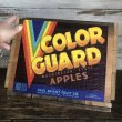 画像6: Vintage Wooden Fruits Crate Box COLOR GUARD (T547) (6)