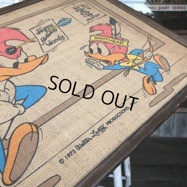 画像6: 70s Vintage Walter Lantz Woody Woodpecker Burlap Art (T565) (6)