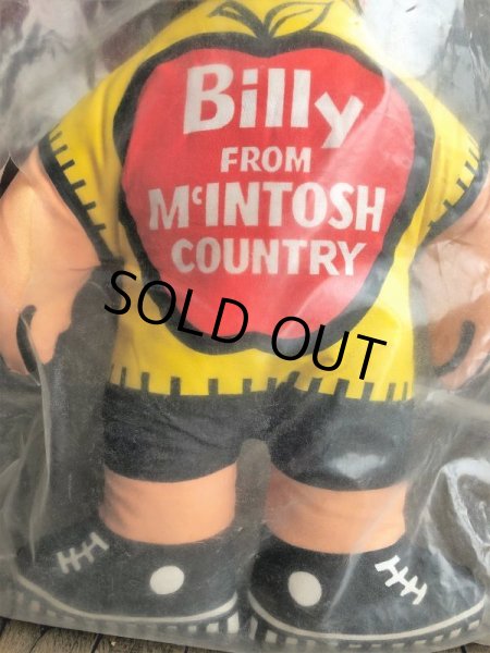 画像5: Vintage Billy & Betty From McINTOSH COUNTRY Pillow Doll Set (B084) (5)