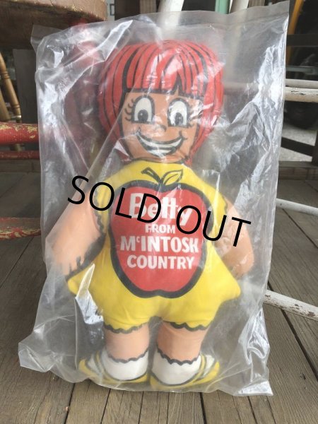 画像10: Vintage Billy & Betty From McINTOSH COUNTRY Pillow Doll Set (B084) (10)