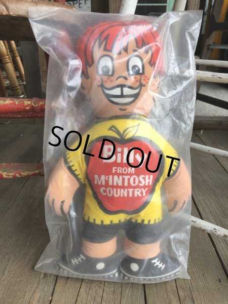 画像6: Vintage Billy & Betty From McINTOSH COUNTRY Pillow Doll Set (B084) (6)