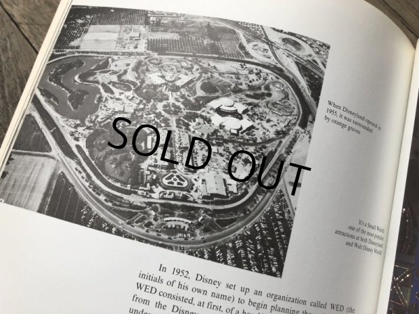 画像18: Vintage The Art of Walt Disney Book (B172)  (18)