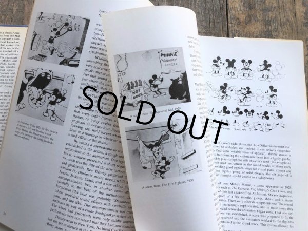 画像7: Vintage The Art of Walt Disney Book (B172)  (7)