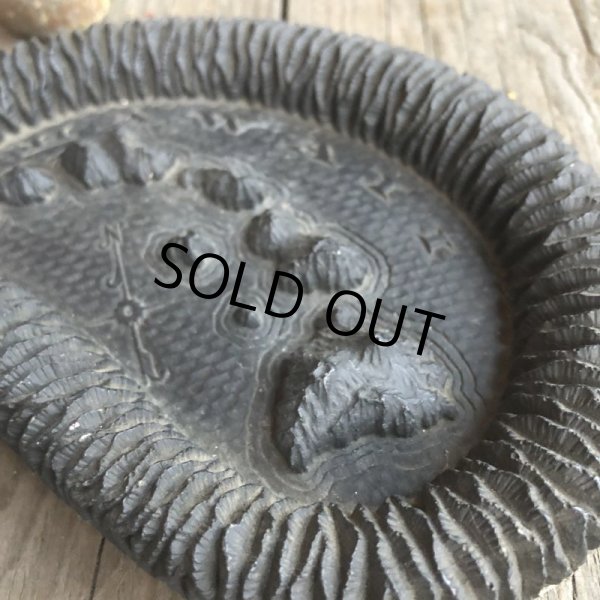 画像5: Vintage Hawaiiana Collectible Ashtray (B582) (5)