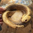 画像1: 70s Vintage Disneyland Adveture Land RANDOTTI Rattle Snake Ceramic Ashtray (B696) (1)