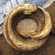 画像6: 70s Vintage Disneyland Adveture Land RANDOTTI Rattle Snake Ceramic Ashtray (B696) (6)