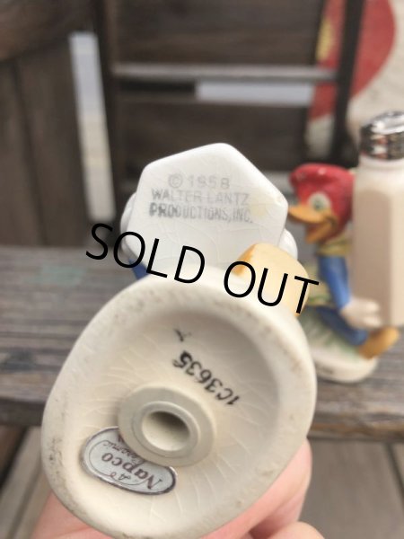 画像6: 50s Vintage NAPCO Walter Lantz  Woody Woodpecker Salt & Pepper Shakers (B748) (6)