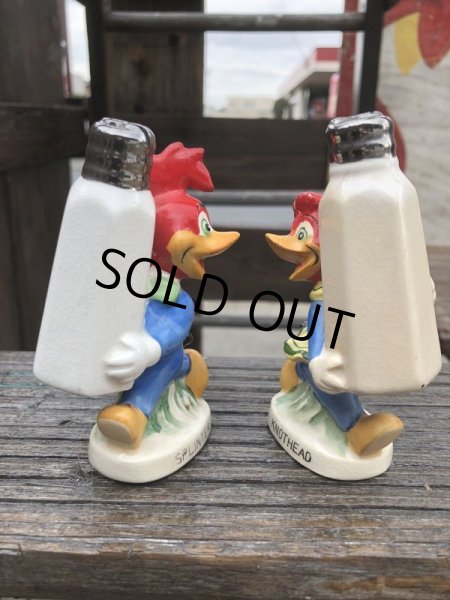画像2: 50s Vintage NAPCO Walter Lantz  Woody Woodpecker Salt & Pepper Shakers (B748) (2)
