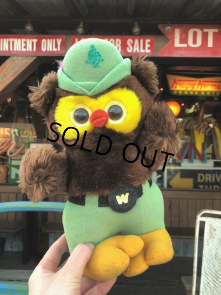 画像10: 70s Vintage Woodsy Owl Plush Doll (B833) (10)