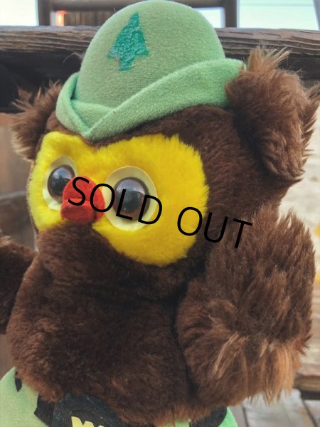 画像3: 70s Vintage Woodsy Owl Plush Doll (B833) (3)
