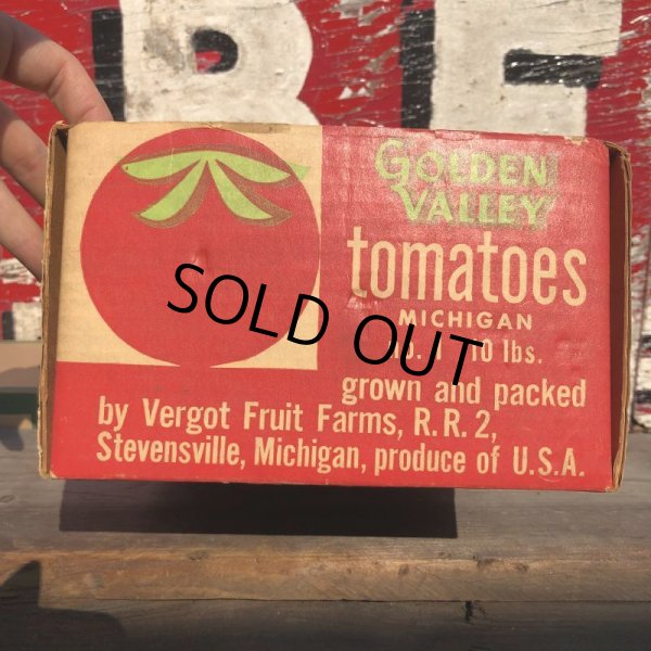 画像4: Vintage Grocery Store Tomato Handy Basket (B126) (4)
