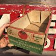 画像3: Vintage Grocery Store Tomato Handy Basket (B125) (3)