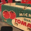 画像6: Vintage Grocery Store Tomato Handy Basket (B129) (6)