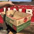 画像1: Vintage Grocery Store Tomato Handy Basket (B125) (1)