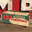 画像2: Vintage Grocery Store Tomato Handy Basket (B129) (2)