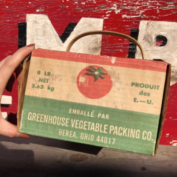 画像5: Vintage Grocery Store Tomato Handy Basket (B125) (5)