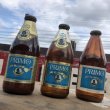 画像11: Vintage Primo Beer Bottle (B163) (11)