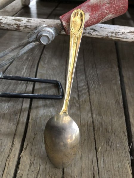 画像5: Vintage Spoon  George Washington (B175) (5)