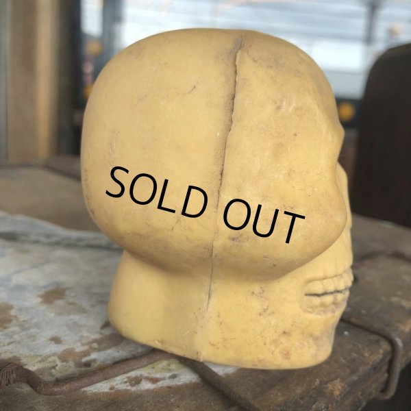 画像3: Vintage Halloween Decoration Skull Blow Mold Plastic Lamp Head (B461) (3)