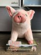 画像7: Vintage Babe Movie The Gallant Pig Plush Doll (B468) (7)