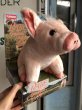 画像1: Vintage Babe Movie The Gallant Pig Plush Doll (B468) (1)