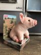 画像5: Vintage Babe Movie The Gallant Pig Plush Doll (B468) (5)