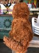 画像3: 70s Vintage Knickerbocker Snuffy Plush Doll (B486) (3)