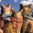 画像13: 1930s〜 Antique Cats Kitten Lithographed Oil Cloth Dolls (B488) (13)