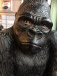 画像10: 50s Vintage KING KONG Gorilla Coin Bank As is.. (B536) (10)