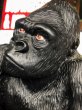 画像9: 50s Vintage KING KONG Gorilla Coin Bank (B537) (9)