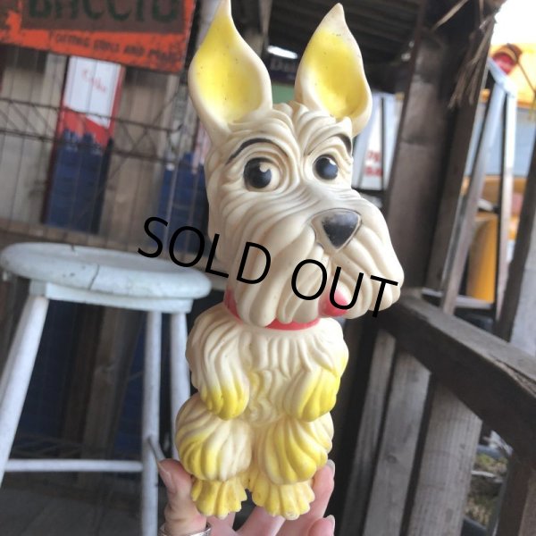 画像11: Vintage Kaysan Rubber Doll Terrier (B555) (11)