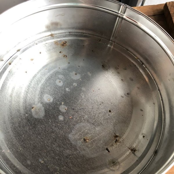 画像3: Vintage Keebler Christmas Cookies Can 1995 (B581) 　 (3)