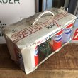 画像3: 70s Vintage Pepsi-Cola HAVE A PEPSI DAY! 7 Pack Party Lights (B602) (3)