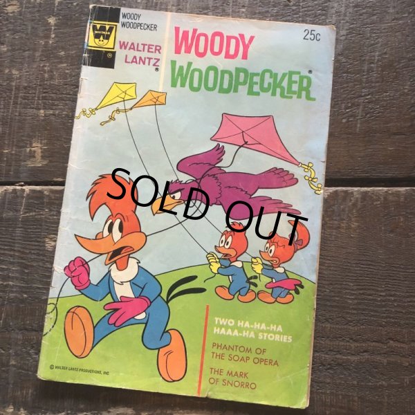 画像1: 70s Vintage Whitman Woody Woodpecker Comic (B652)  (1)