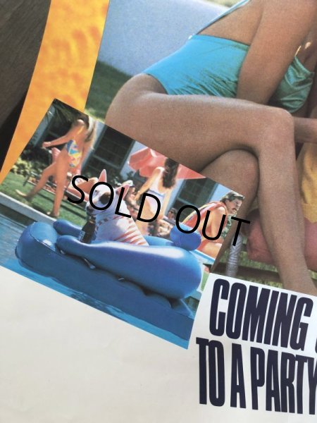 画像8: 80s Vintage Budweiser Advertising Bud Light Spuds MacKenzie Poster Store Sign (B755)  (8)