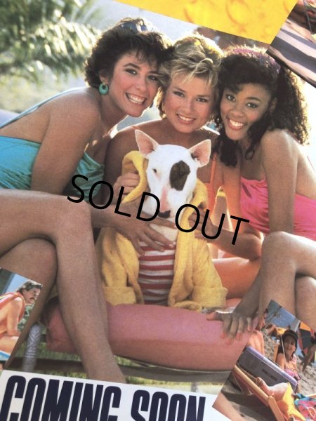 画像5: 80s Vintage Budweiser Advertising Bud Light Spuds MacKenzie Poster Store Sign (B755)  (5)