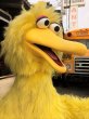 画像11: Vintage Sesame Street Big Bird Store Display Life size Statue RARE! Hard to Find!!! (B968) (11)