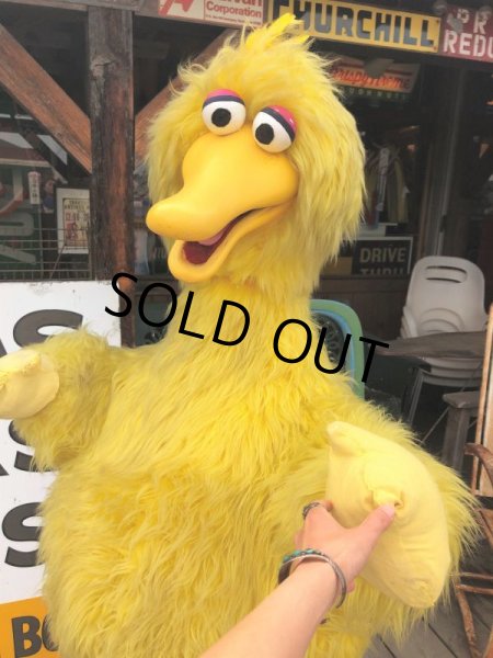画像18: Vintage Sesame Street Big Bird Store Display Life size Statue RARE! Hard to Find!!! (B968) (18)