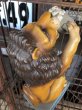 画像13: Vintage Lowenbrau Beer Lion Store Display Statue (C01) (13)