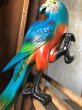 画像5: 70s Vintage Parrot Wall Hangings Statue (C027) (5)