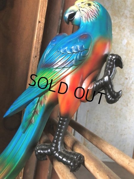 画像5: 70s Vintage Parrot Wall Hangings Statue (C027) (5)