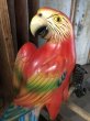 画像6: 70s Vintage Parrot Wall Hangings Statue (C029) (6)