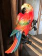 画像1: 70s Vintage Parrot Wall Hangings Statue (C029) (1)