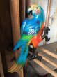 画像1: 70s Vintage Parrot Wall Hangings Statue (C027) (1)