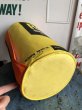 画像7: 70s Vintage Raid Bug Pillow Cushion (C059)  (7)