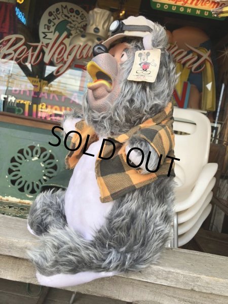画像4: Vintage Disney BIG AL Plush Doll Vacation Hoedown Ver. (C341)  (4)