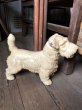 画像6: Vintage Sealyham Terrier Heavy Cast Iron Door Stop Statue (B491) (6)