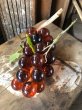 画像3: Vintage Mid-Century Lucite Acrylic Amber Grapes on Driftwood Base (B499) (3)