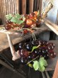 画像18: Vintage Mid-Century Lucite Acrylic Amber Grapes on Driftwood Base (B498) (18)